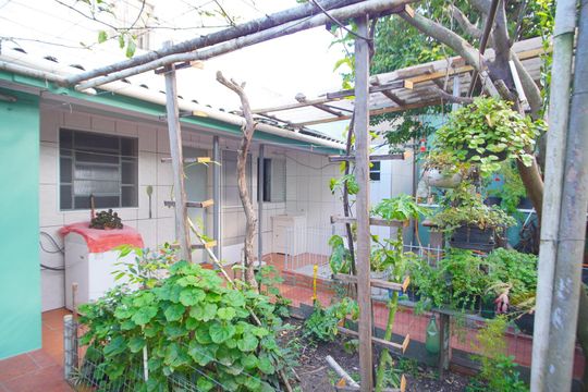 Quintal de casa para alugar com 1 quarto, 45m² em Sarandi, Porto Alegre
