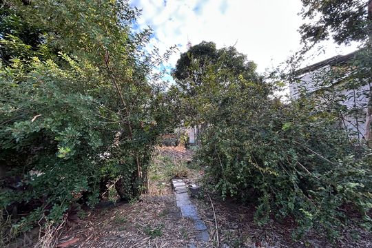 Quintal de casa para alugar com 2 quartos, 500m² em Piedade, Rio de Janeiro