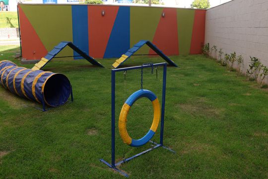 Apartamento para alugar com 3 quartos, 62m² em Fazenda Criméia Caveiras, Goiânia