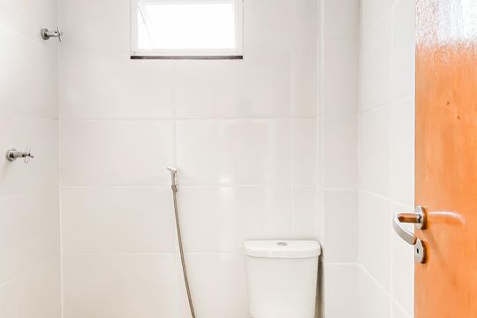 Banheiro  de apartamento para alugar com 2 quartos, 40m² em Vila Santa Teresa (zona Leste), São Paulo