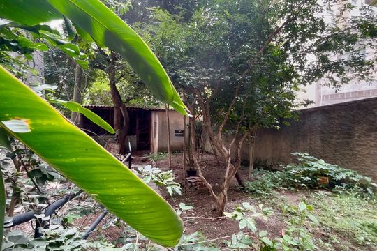 Quintal de casa à venda com 6 quartos, 800m² em Vila Clementino, São Paulo