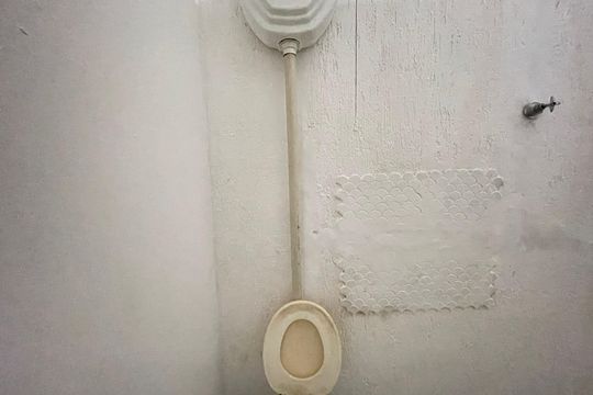 Banheiro de serviço de casa para alugar com 1 quarto, 40m² em Jardim Paulo Vi, São Paulo