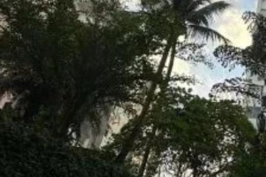 Área externa de apartamento para alugar com 2 quartos, 82m² em Pituba, Salvador