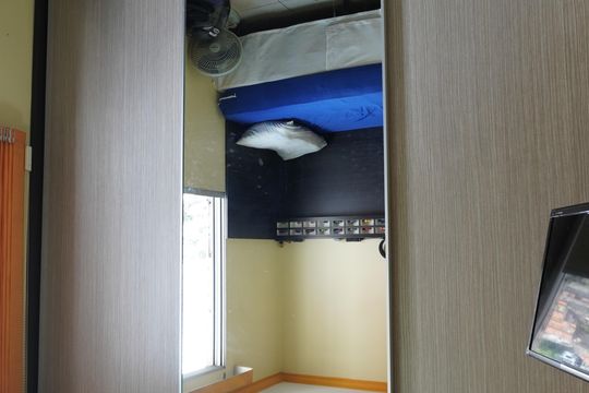 Apartamento à venda com 2 quartos, 49m² em Vila Carmosina, São Paulo