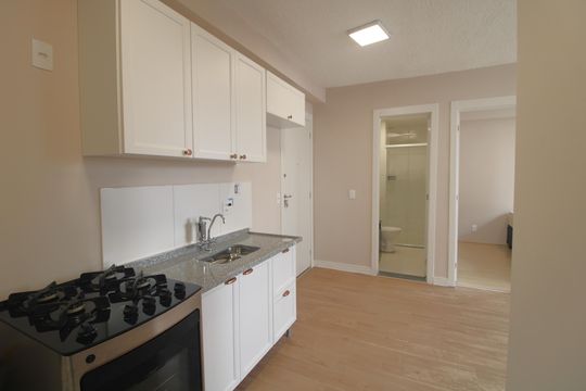 Cozinha de apartamento para alugar com 2 quartos, 33m² em Usina Piratininga, São Paulo