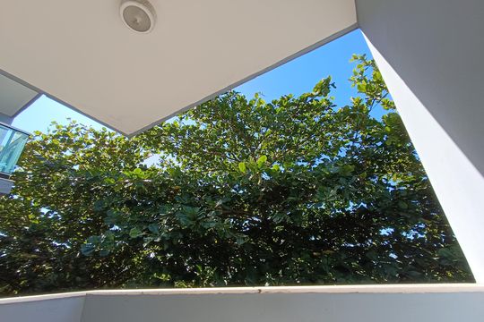 Vista Foresta de kitnet/studio para alugar com 1 quarto, 38m² em Praia do Pecado, Macaé