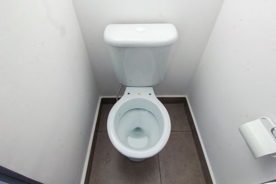 Lavabo de apartamento para alugar com 2 quartos, 69m² em Jardim Ocara, Santo André