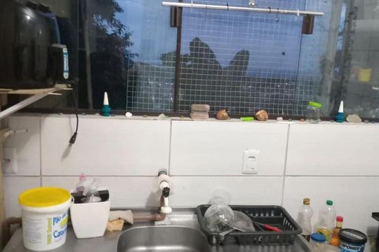 Cozinha de casa para alugar com 1 quarto, 48m² em Cachoeira do Bom Jesus, Florianópolis