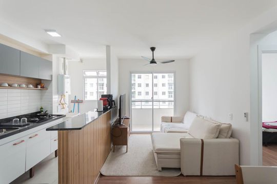 Sala de apartamento para alugar com 2 quartos, 50m² em Santo Cristo, Rio de Janeiro