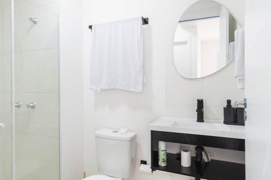 Banheiro de apartamento para alugar com 2 quartos, 50m² em Santo Cristo, Rio de Janeiro