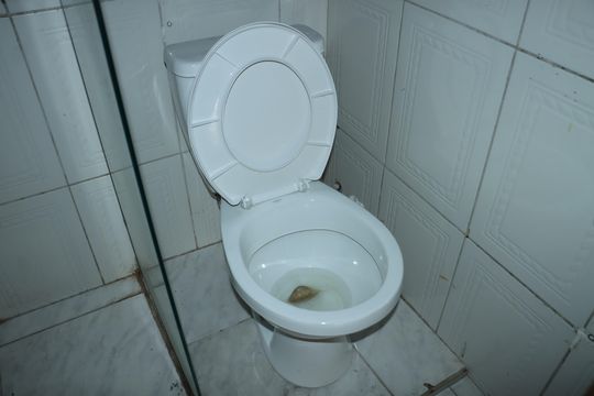 Banheiro de apartamento para alugar com 1 quarto, 25m² em Jardim Semiramis, Cotia