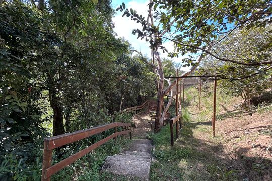 Área Verde de apartamento para alugar com 2 quartos, 55m² em Nova Pampulha, Belo Horizonte