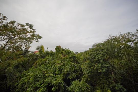 Vista da Sala de apartamento para alugar com 2 quartos, 52m² em Serraria, São José