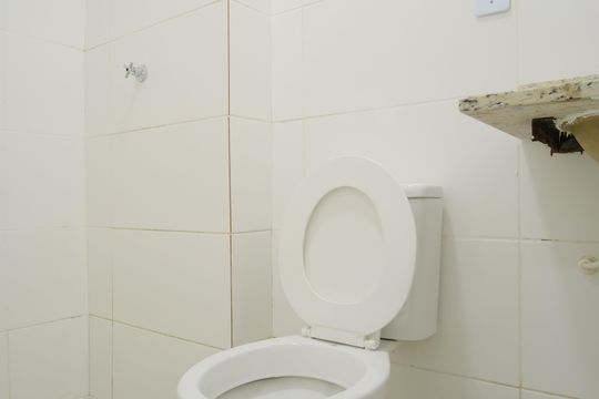 Banheiro de apartamento para alugar com 2 quartos, 40m² em Penha de França, São Paulo