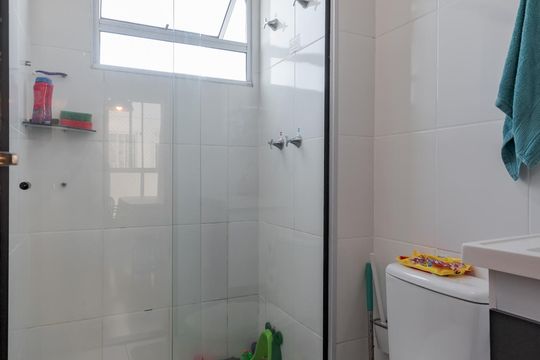 Banheiro de apartamento para alugar com 2 quartos, 45m² em Chácara das Pedras, Porto Alegre