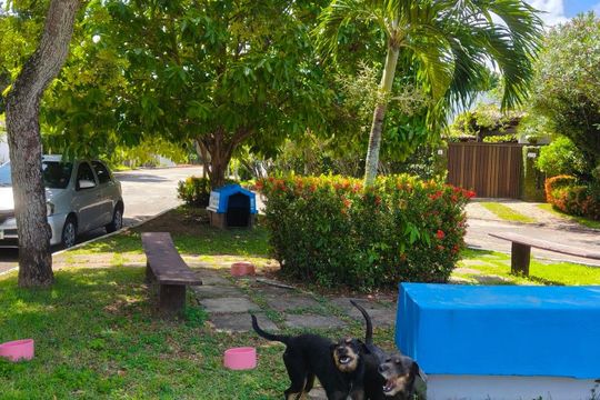 Área externa de casa para alugar com 1 quarto, 21m² em Patamares, Salvador
