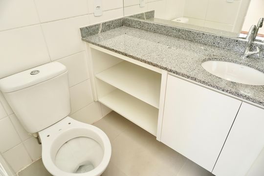 Banheiro da Suíte de apartamento para alugar com 3 quartos, 68m² em Palmeiras, Belo Horizonte
