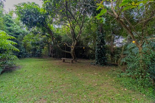 Jardim de casa de condomínio para alugar com 4 quartos, 2200m² em Vila Appia Antica, Cotia