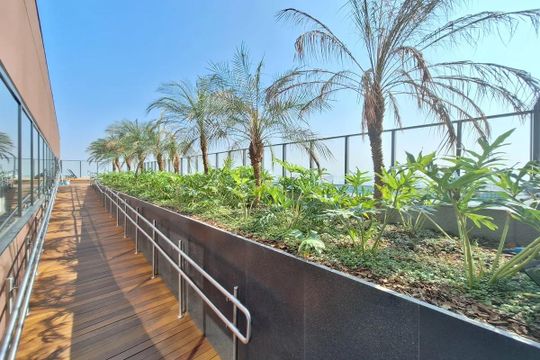 Horta de kitnet/studio para alugar com 1 quarto, 30m² em Pompeia, São Paulo