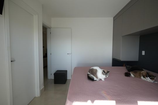 Quarto Suite  de apartamento à venda com 2 quartos, 63m² em Jardim, Santo André