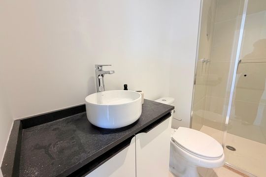 Banheiro de apartamento para alugar com 2 quartos, 58m² em Chácara Santo Antônio (zona Sul), São Paulo