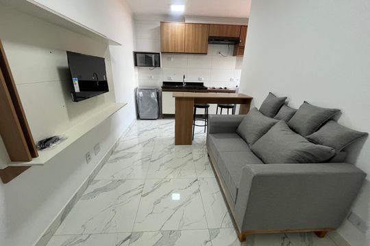 Sala de apartamento para alugar com 1 quarto, 30m² em Parque Peruche, São Paulo