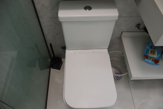 Banheiro Social de casa à venda com 1 quarto, 146m² em Jardim Santa Cecilia, Guarulhos
