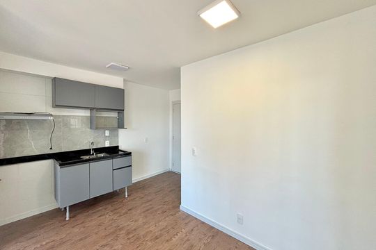 Sala  de apartamento para alugar com 2 quartos, 39m² em Vila Campanela, São Paulo