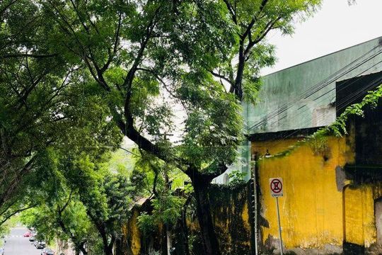 Casa à venda com 3 quartos, 500m² em Brooklin, São Paulo