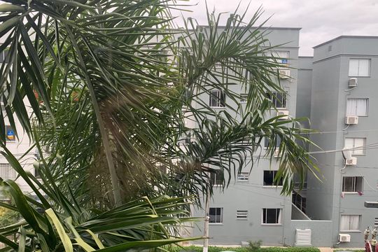 Vista do Quarto 1 de apartamento para alugar com 2 quartos, 49m² em Centro, Sapucaia do Sul