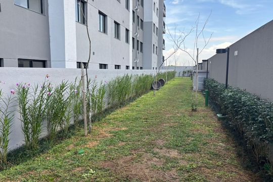Área comum de apartamento para alugar com 2 quartos, 38m² em Cidade Antônio Estêvão de Carvalho, São Paulo