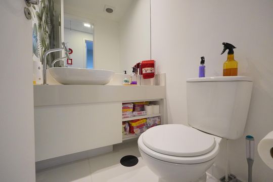 Lavabo de apartamento para alugar com 2 quartos, 54m² em Ipiranga, São Paulo