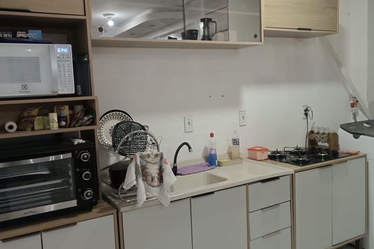 Cozinha de apartamento para alugar com 2 quartos, 42m² em Fátima, Canoas