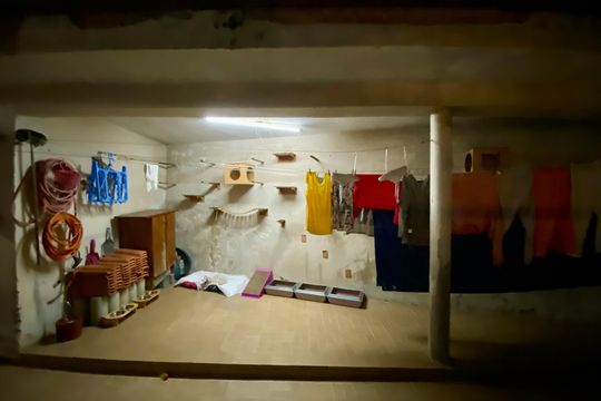 Quintal - casa 2 de casa à venda com 5 quartos, 295m² em Jardim Santa Mena, Guarulhos