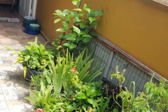 Área comum de casa para alugar com 3 quartos, 207m² em Foguete, Cabo Frio