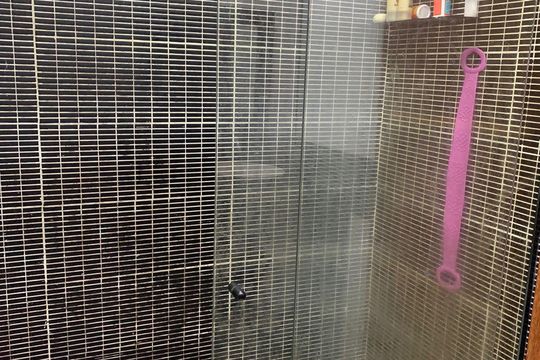 Banheiro social de casa para alugar com 3 quartos, 370m² em Engenheiro Leal, Rio de Janeiro