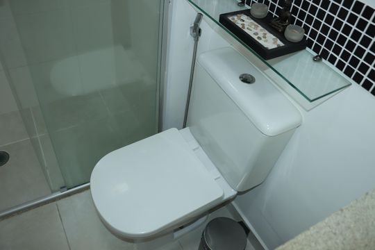 Banheiro da Suíte de apartamento para alugar com 3 quartos, 200m² em Chácara Pavoeiro, Cotia