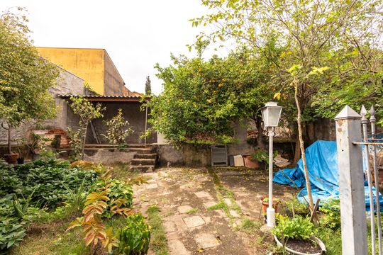 Quintal de casa para alugar com 4 quartos, 500m² em Jardim Novo Campos Eliseos, Campinas