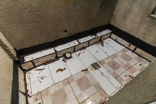 Quintal de casa para alugar com 2 quartos, 120m² em Jardim Robru, São Paulo