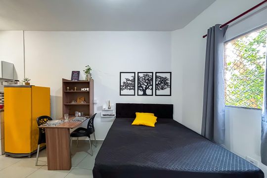 Kitnet/Studio para alugar com 1 quarto, 18m² em Vila Monte Alegre, São Paulo