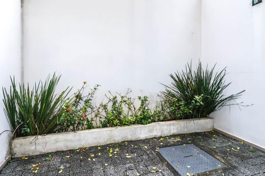 Garden de kitnet/studio para alugar com 1 quarto, 26m² em Vila Mariana, São Paulo