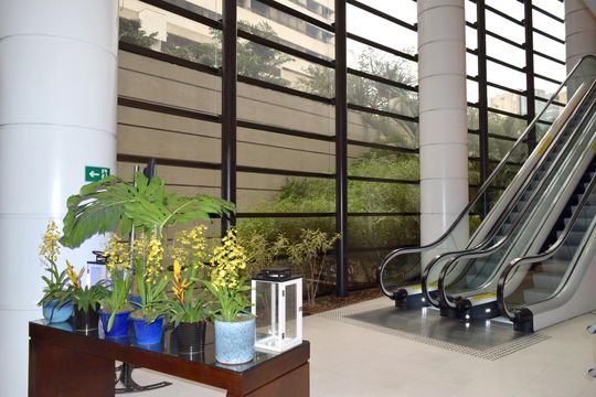 Hall social de apartamento para alugar com 2 quartos, 132m² em Paraíso, São Paulo