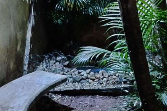 Área externa de casa à venda com 3 quartos, 250m² em Jardim Rosa de Franca, Guarulhos