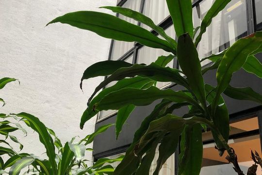 Área externa de apartamento à venda com 1 quarto, 48m² em Santa Teresa, Rio de Janeiro
