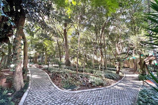 Área comum - Bosque de apartamento à venda com 3 quartos, 169m² em Vila Mascote, São Paulo