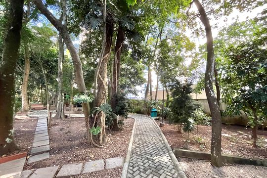 Área comum - Bosque de apartamento à venda com 3 quartos, 169m² em Vila Mascote, São Paulo