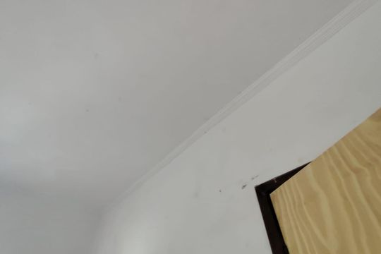 Apartamento para alugar com 1 quarto, 60m² em Jardim Primavera, Duque de Caxias