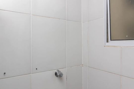 Banheiro de casa para alugar com 1 quarto, 35m² em Imirim, São Paulo