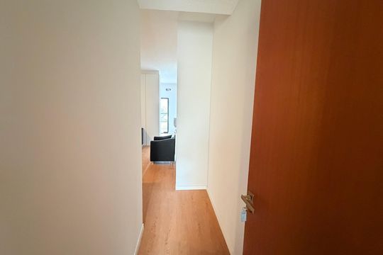 Corredor de kitnet/studio para alugar com 1 quarto, 29m² em Cascatinha, Juiz de Fora