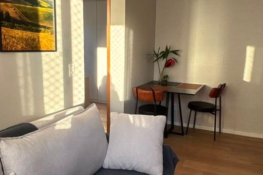 Sala de apartamento para alugar com 2 quartos, 45m² em Vila Suzana, São Paulo